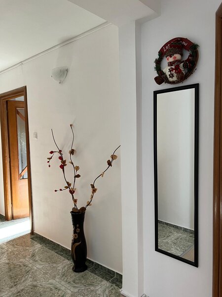 Doamna Ghica- Delfinului