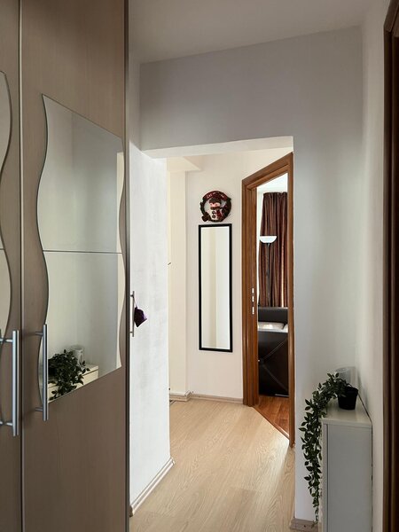 Doamna Ghica- Delfinului