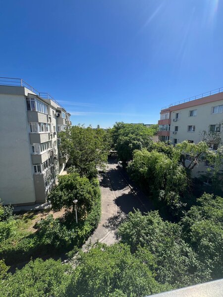 Doamna Ghica- Delfinului