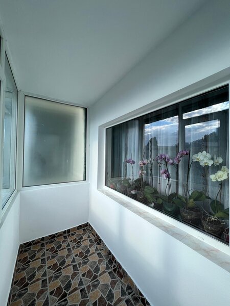 Doamna Ghica- Delfinului