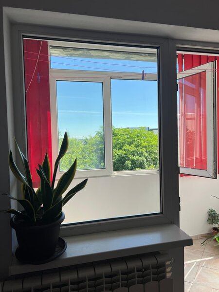 Doamna Ghica- Delfinului