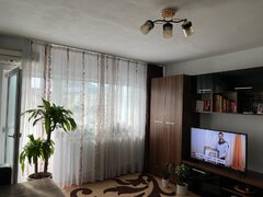 Doamna Ghica- Delfinului